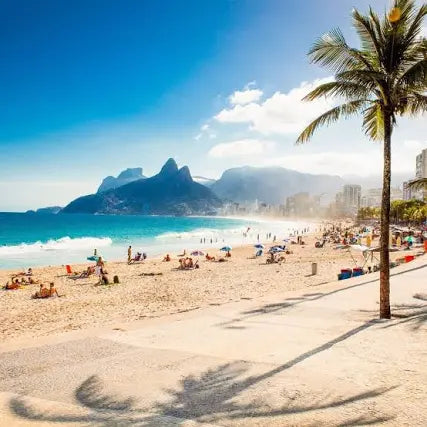 ▪️FRAGRANCE DESCRIPTION - Brazil bum type