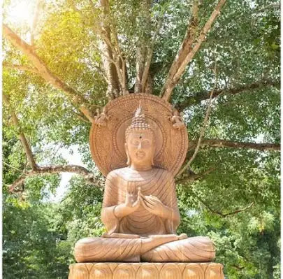 ▪️FRAGRANCE DESCRIPTION - Tibetan trance